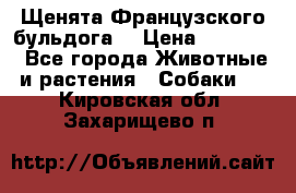 Щенята Французского бульдога. › Цена ­ 45 000 - Все города Животные и растения » Собаки   . Кировская обл.,Захарищево п.